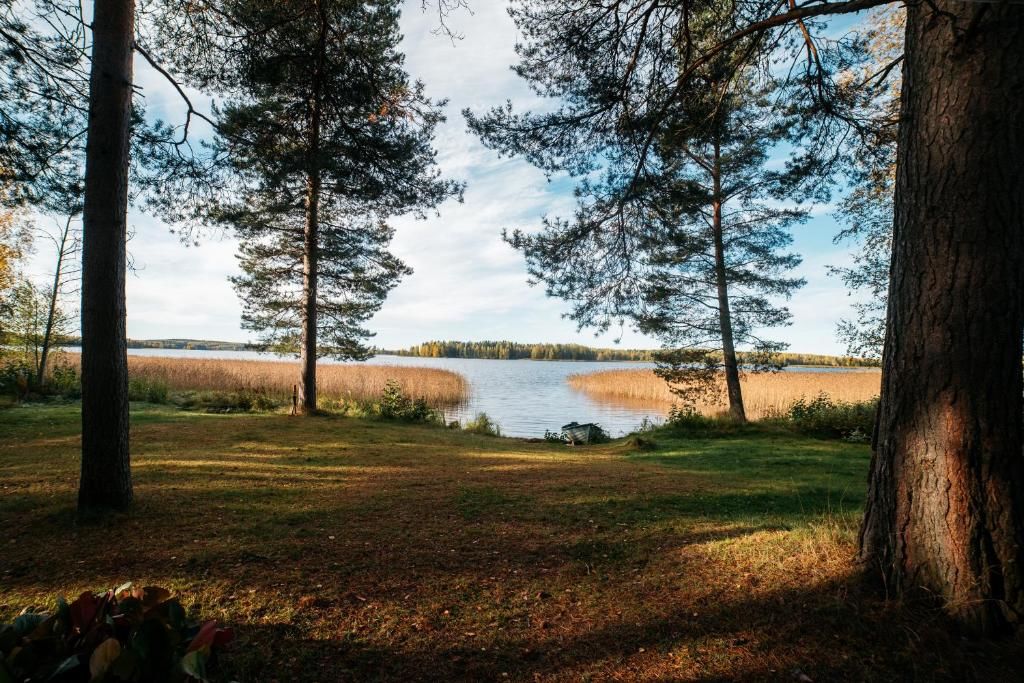 Дома для отпуска Jokiniemen Matkailu Cottages Tölvä-99